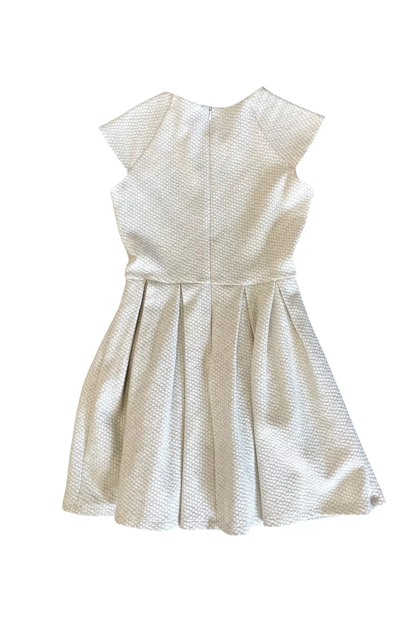 Ivory Silver Pleated Dress