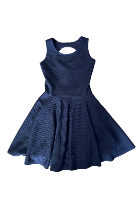 Navy Fit and Flare Dress