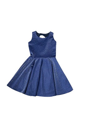 Navy Shimmer Fit and Flare Dress